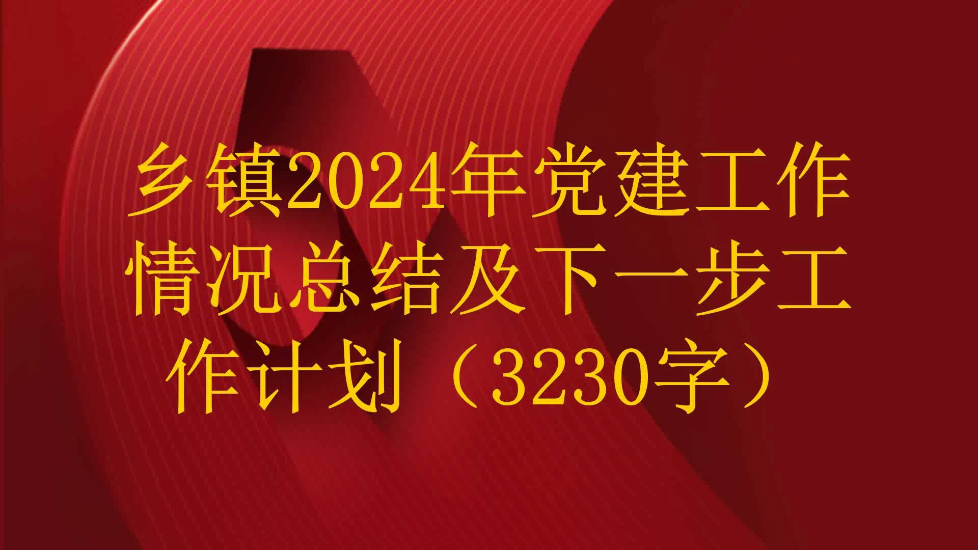 乡镇2024年党建工作情况总结及下一步工作计划(3230字)哔哩哔哩bilibili