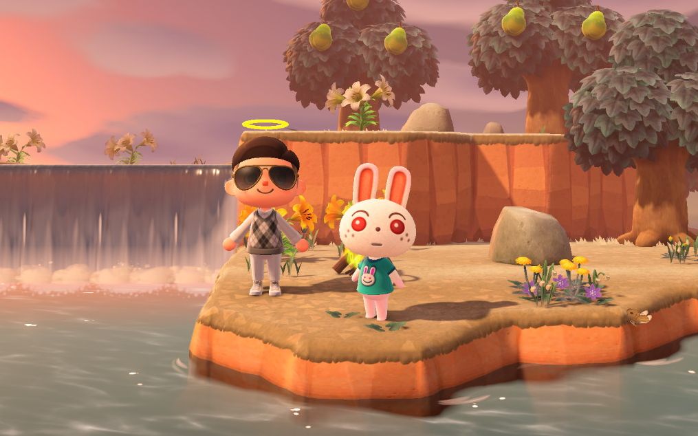 动森10票刷出了月兔