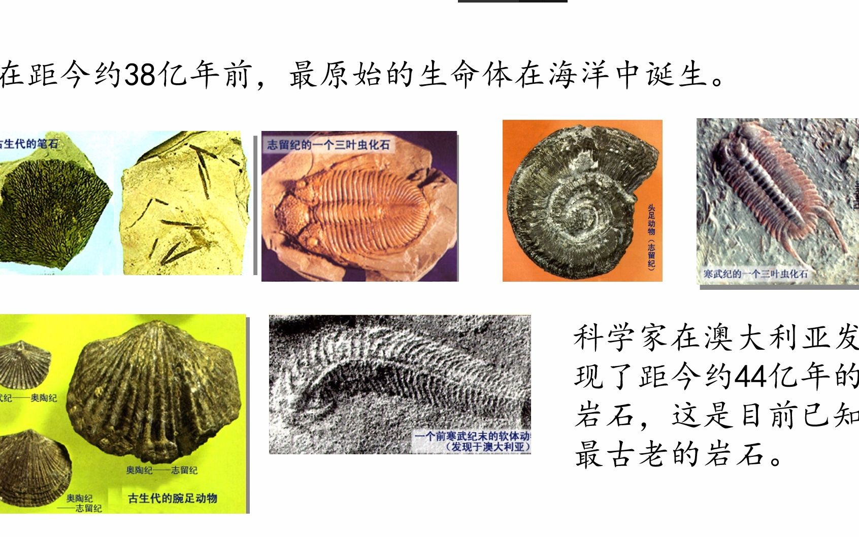 [图]浙教版初中科学九下 1.3地球的演化和生命的起源（教学视频）