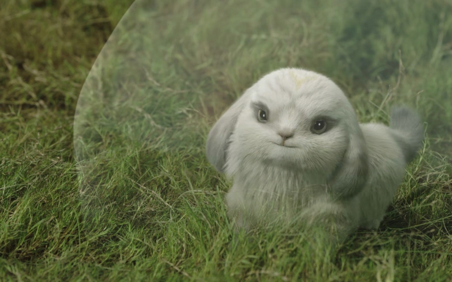 朏朏好可爱呀 就是结局的有点惨