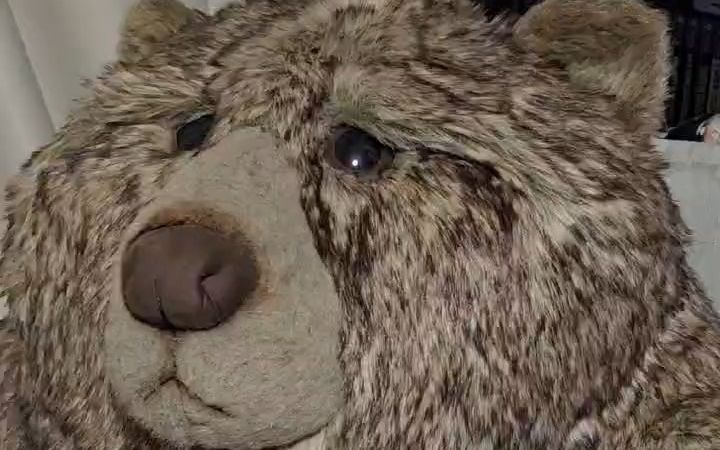 大家觉得xg手柄保得住吗?@熊人族嗷非秀