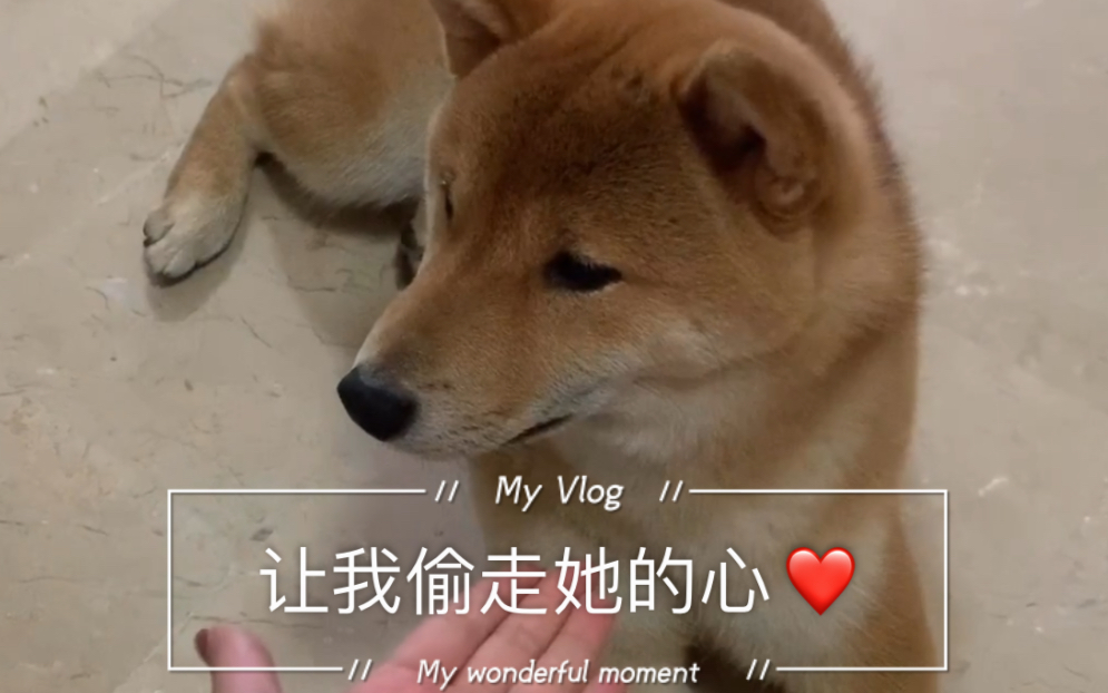 【夺命小乌苏】#2020-06# awsl 你这个偷心贼!