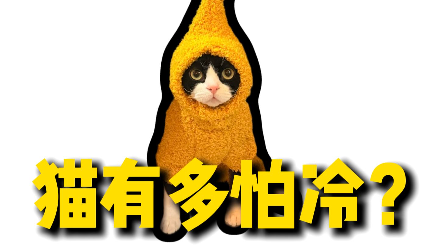 难怪一降温就往被窝里钻