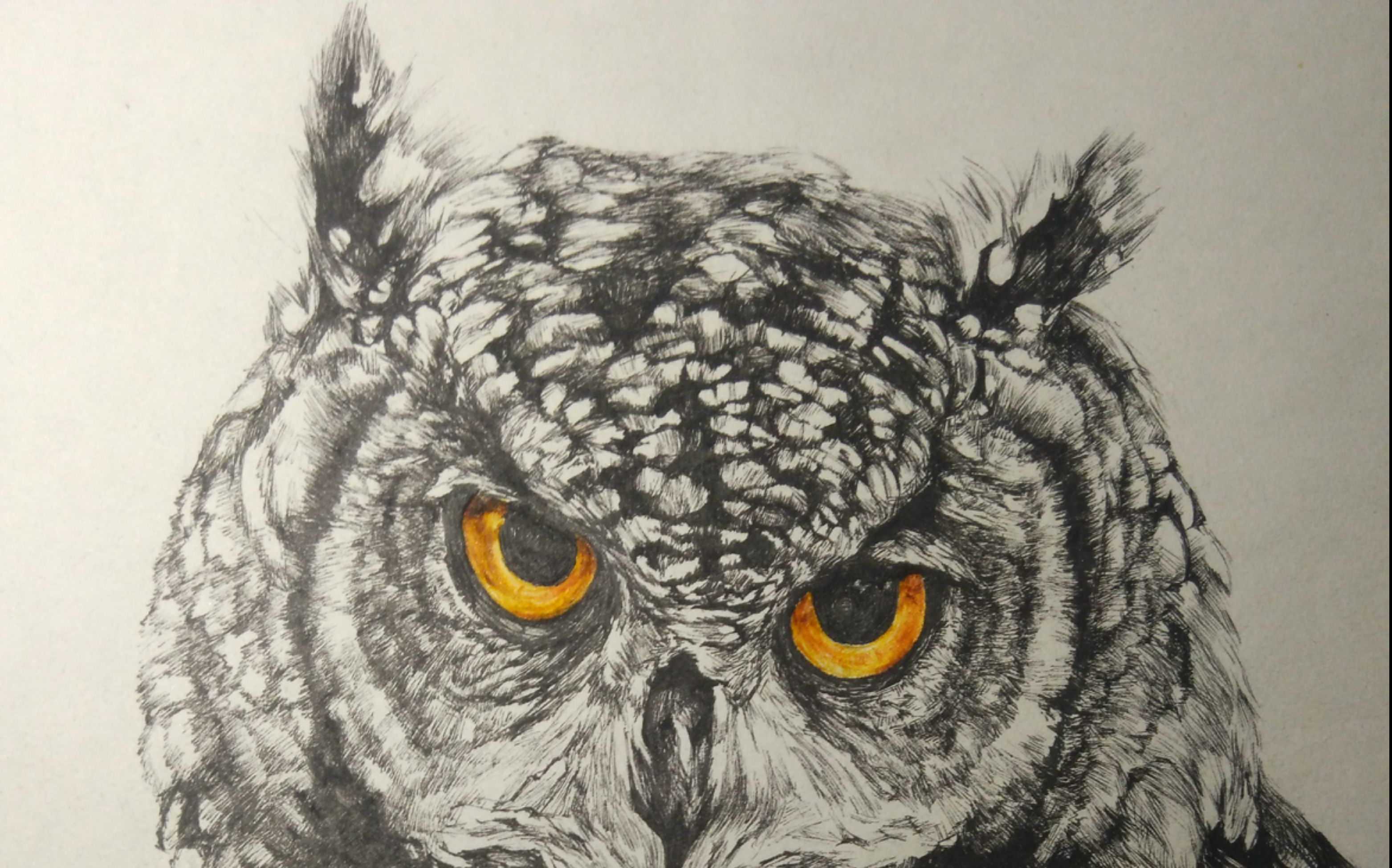 【原创手绘】一只眼神犀利的猫头鹰(°Д°)