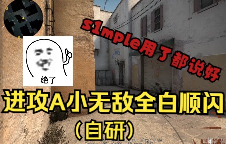 [图]DUST 2：A小全白顺闪教学