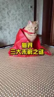 Download Video: 猫界三大未解之谜