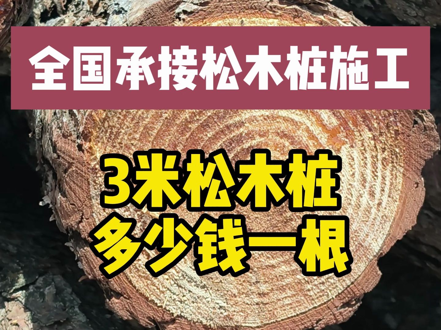 3米松木桩多少钱一根 松木桩批发价格哔哩哔哩bilibili