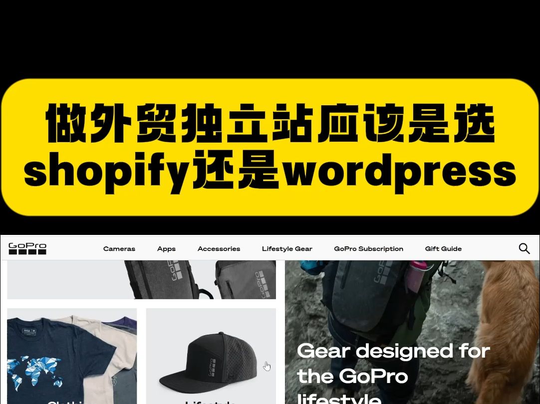 做外贸独立站应该是选shopify还是wordpress哔哩哔哩bilibili