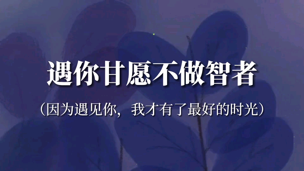 “智者不入爱河,遇你甘愿不做智者”|爱情里的惊艳句子哔哩哔哩bilibili