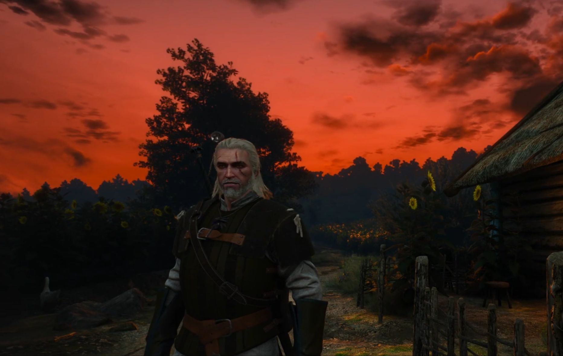 巫师(狩魔猎人)3四九回:酒逢知己丢衣裤 人面兽心谁无辜