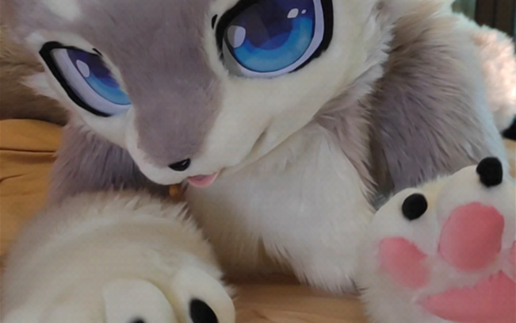 一只踩奶的小奶狼,(你的总攻大人)_哔哩哔哩_bilibili