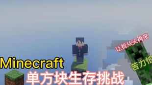 Minecraft 刷刷刷单方块超级生存no 1 哔哩哔哩 つロ干杯 Bilibili