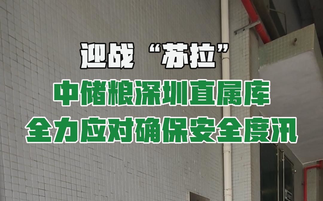 迎战台风“苏拉”,中储粮深圳直属库确保“大国粮仓”安全度汛!哔哩哔哩bilibili