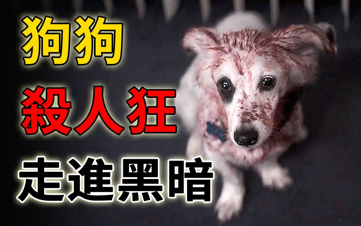 [图]看似人畜无害的乖狗狗，皮囊下隐藏着可怕的杀人狂《走进黑暗》