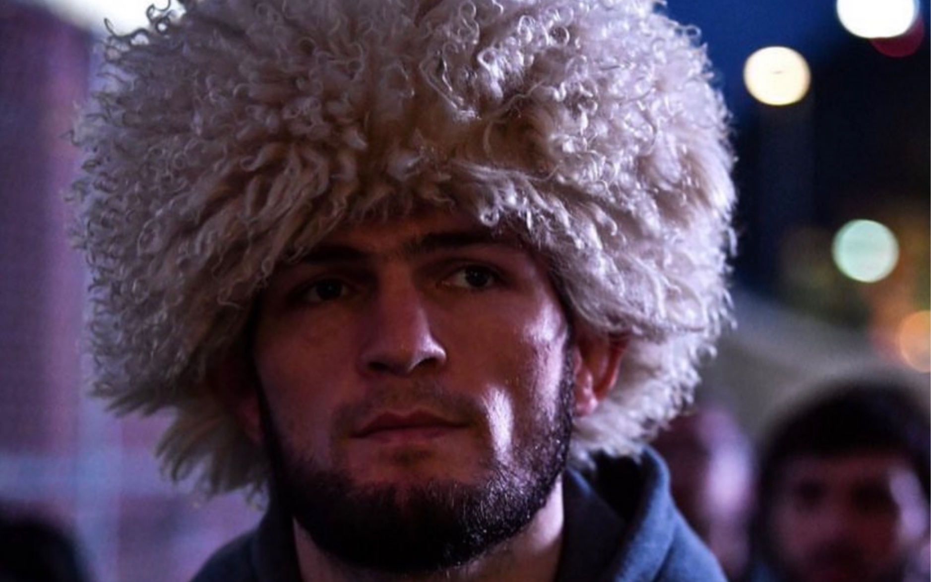 不败鹰王小鹰哈比布的成长之路!鹰王的奋斗!