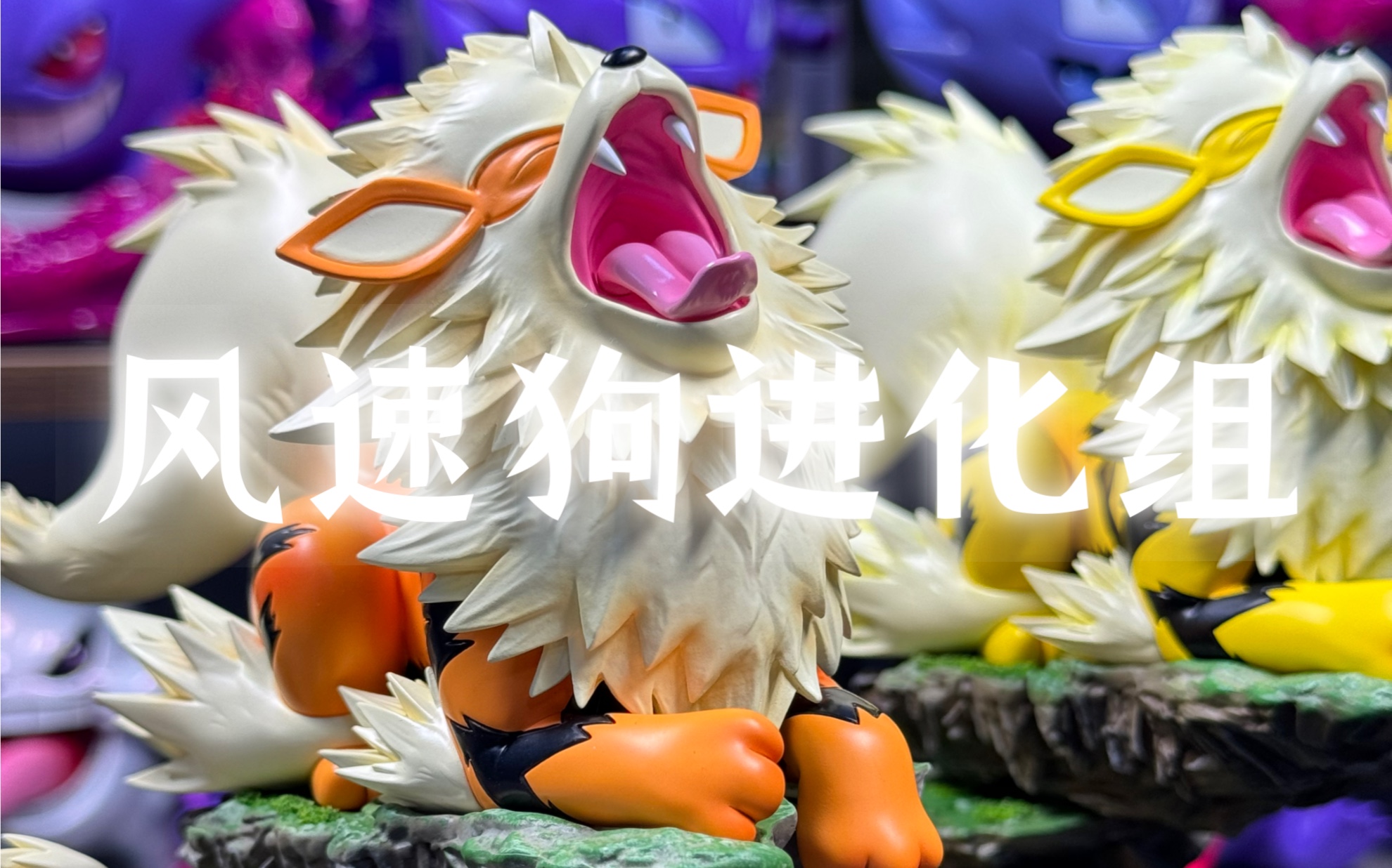 真新镇 风速狗a进化组