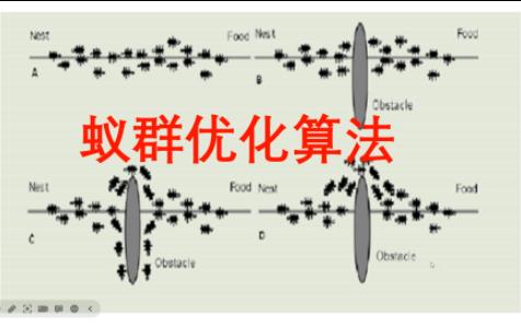 【蚁群优化算法】1从蚂蚁觅食看蚁群优化算法哔哩哔哩bilibili