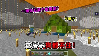 一组钻石让好友盖的房子！回家一看感觉天塌了！