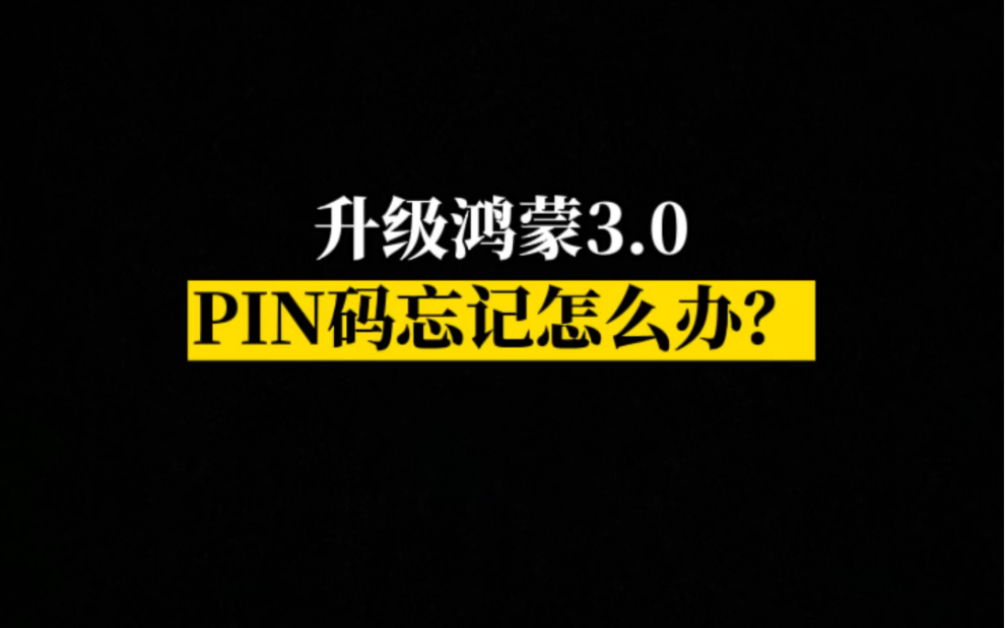 设置了PIN码忘记怎么办?哔哩哔哩bilibili