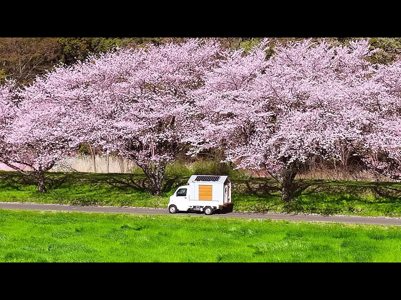 樱花下在自制微卡车露营车的阳台上吃午餐哔哩哔哩bilibili