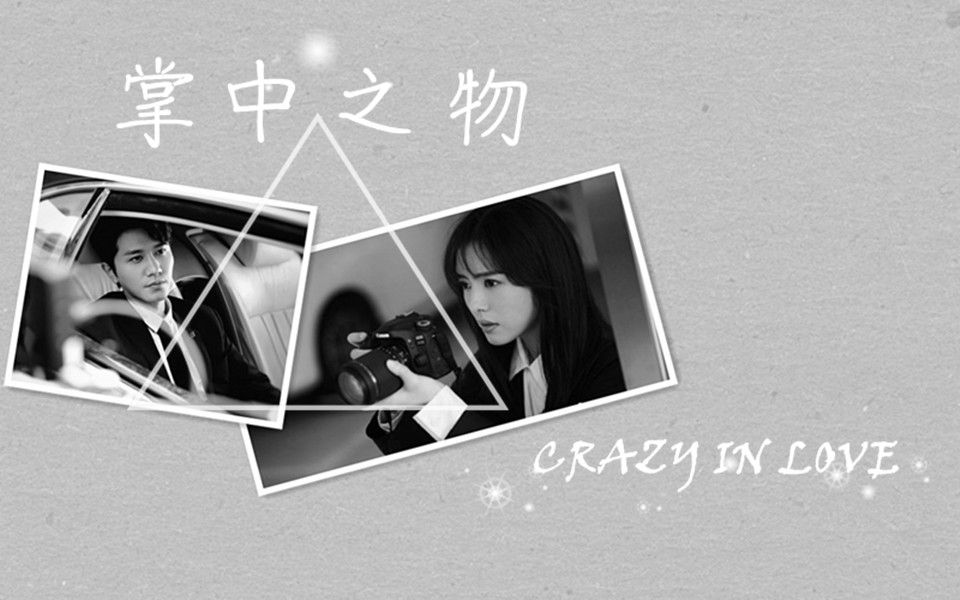 【掌中之物】CRAZY IN LOVE疯狂致爱哔哩哔哩bilibili