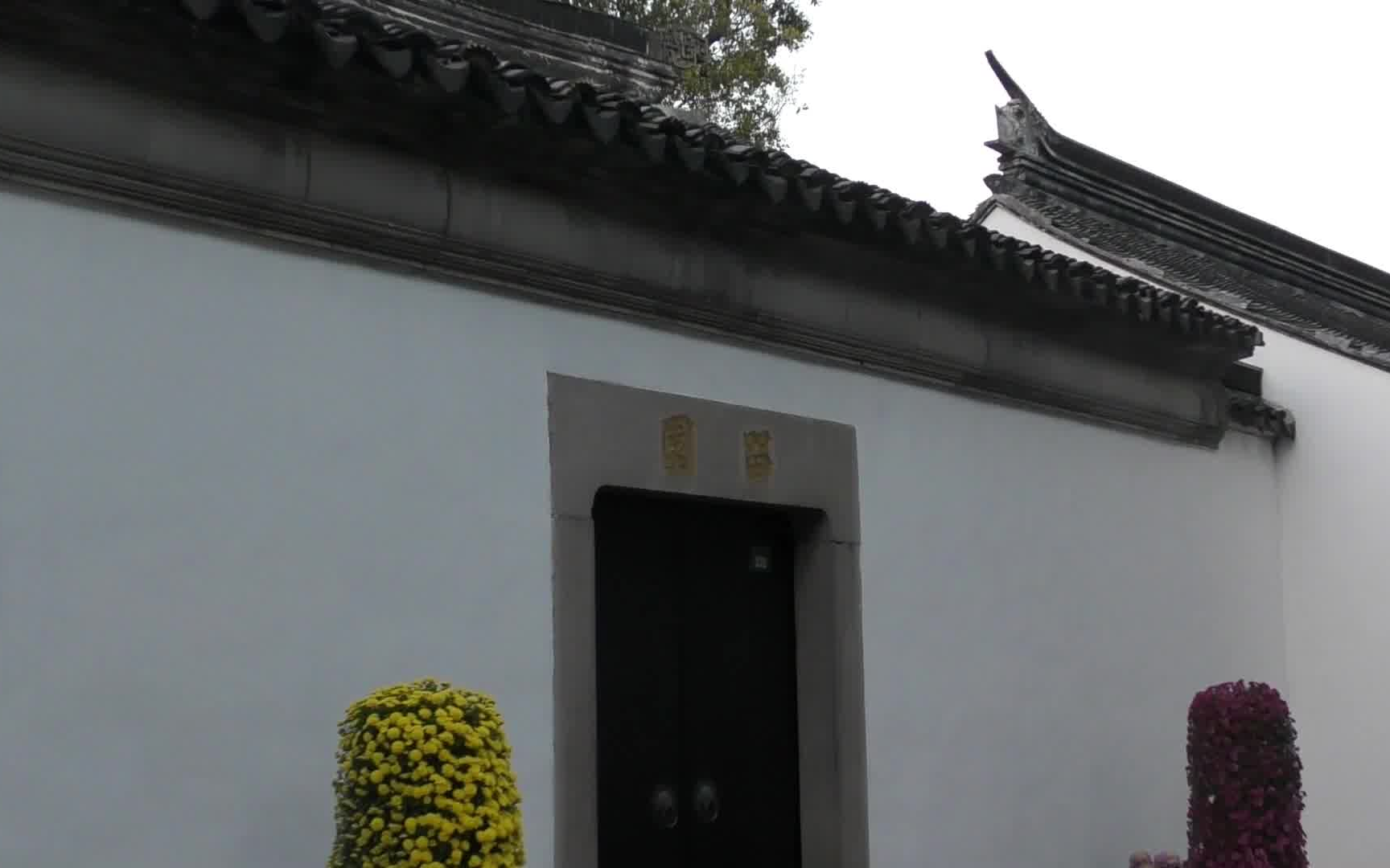 苏州|留园|平江历史街区|山塘街山塘胜迹|唐少傅白公祠