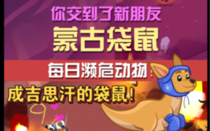 【疯狂动物园】濒危动物扩张计划之:驯服蒙古袋鼠!!哔哩哔哩bilibili