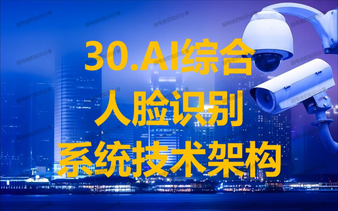 30.ai综合人脸识别系统技术架构