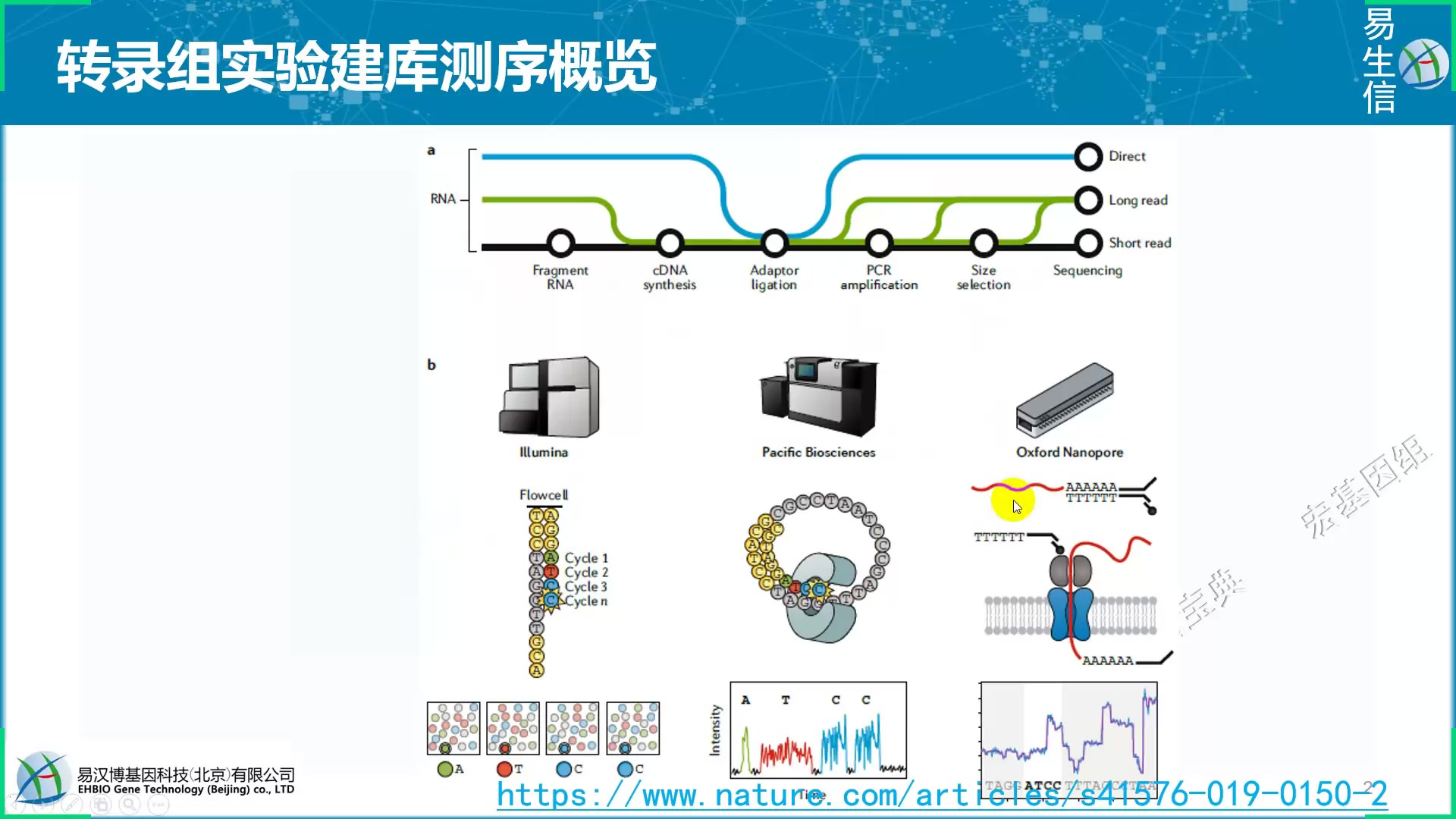 [图]07-1-高通量测序原理-文库构建-1-22页PPT