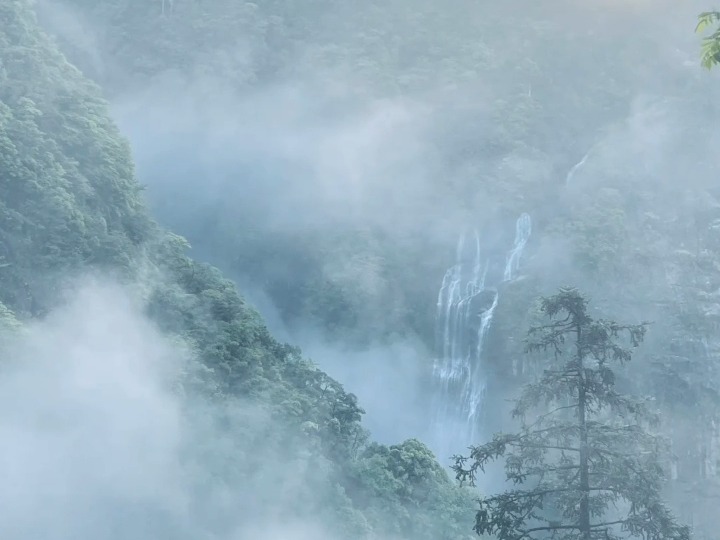 江西婺源ⷥ䧮Š鄣山乡ⷮŠ鄣山村哔哩哔哩bilibili