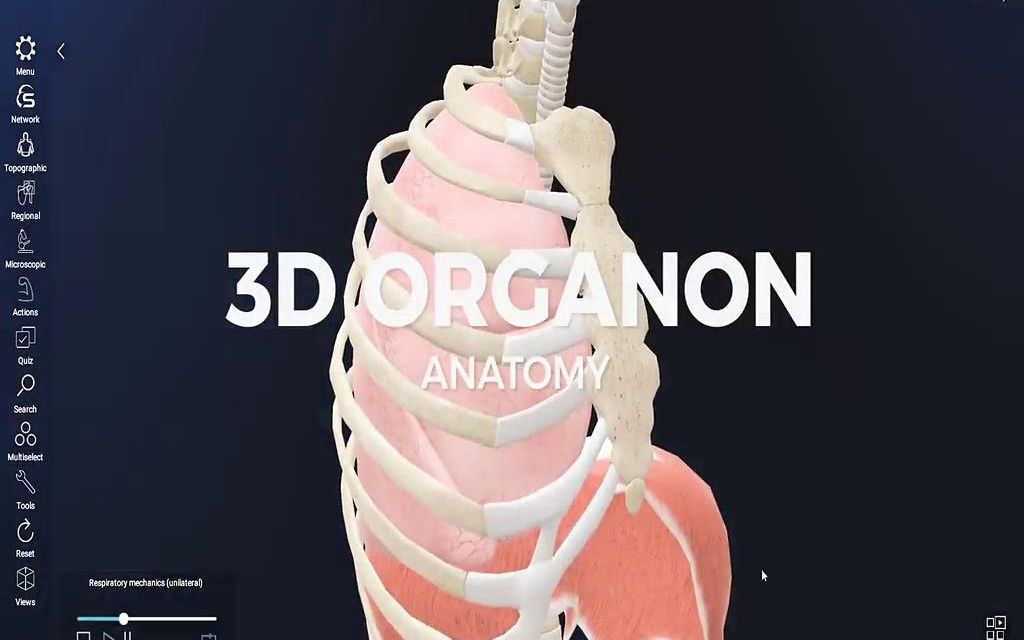 [图]3D Organon 2020 Edition