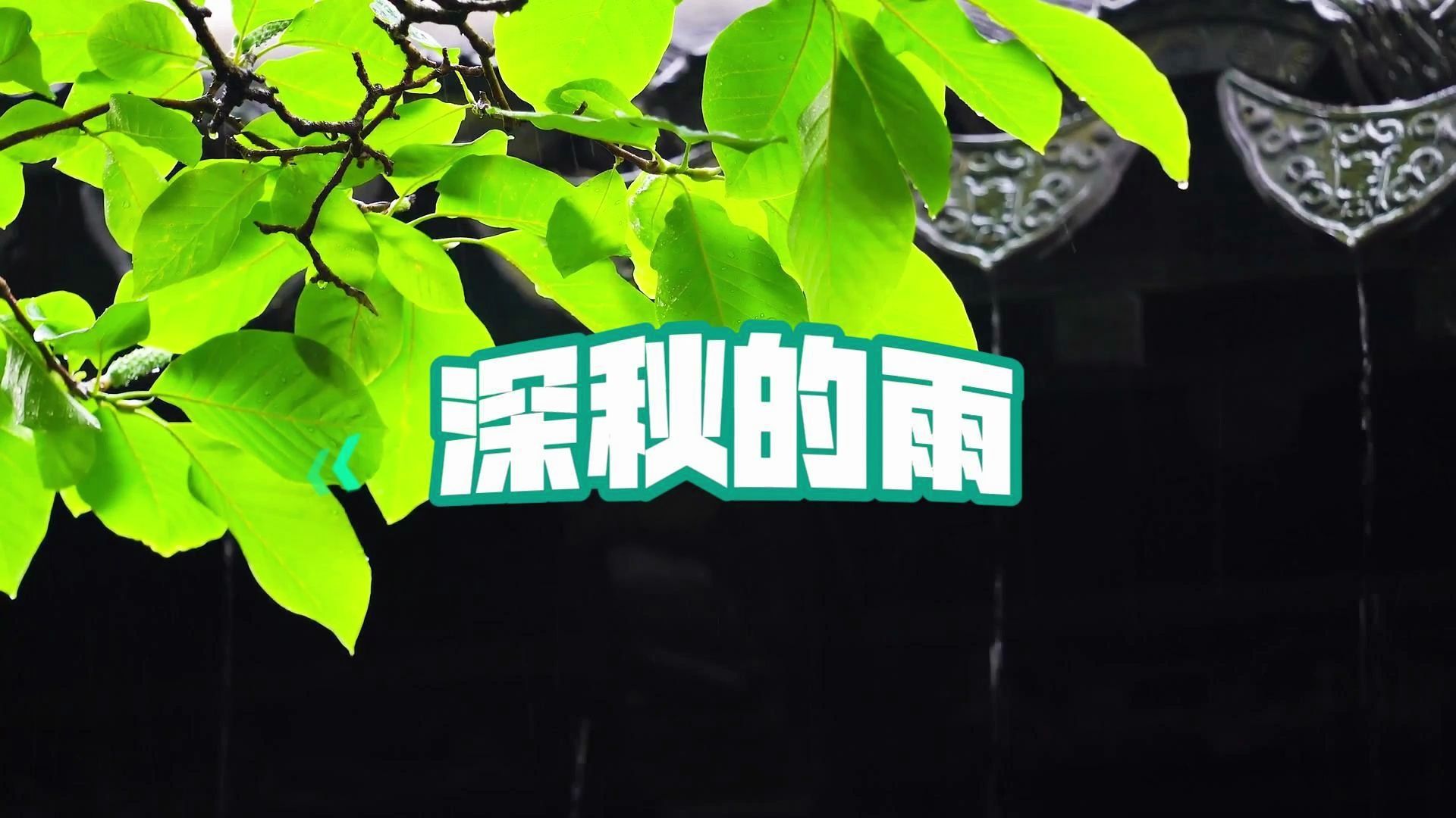 《深秋的雨》轻抚岁月的痕迹丨纯音乐哔哩哔哩bilibili