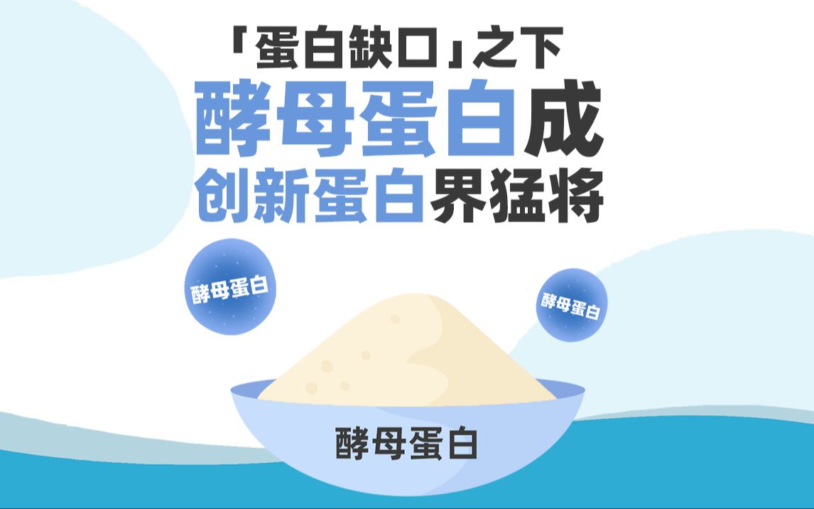 “蛋白缺口”之下,酵母蛋白成创新蛋白界“猛将”!| 安琪酵母哔哩哔哩bilibili