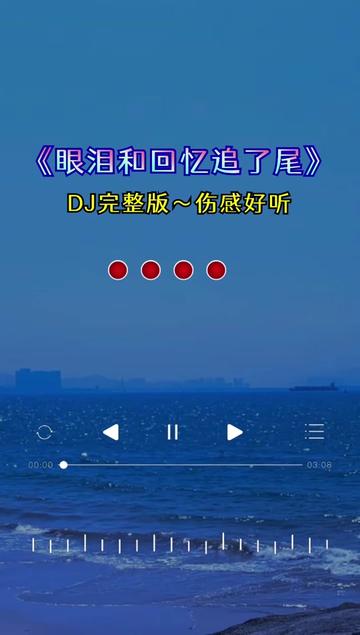 [图]#眼泪和回忆追了尾#DJ版#完整版#伤感好听