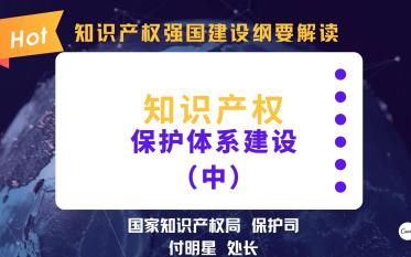 [图]继续更！知识产权强国建设纲要解读系列之《知识产权保护体系建设》（中）！请持续关注~