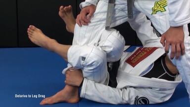 Caio Terra - 111 Half Guard Techniques 1_哔哩哔哩_bilibili