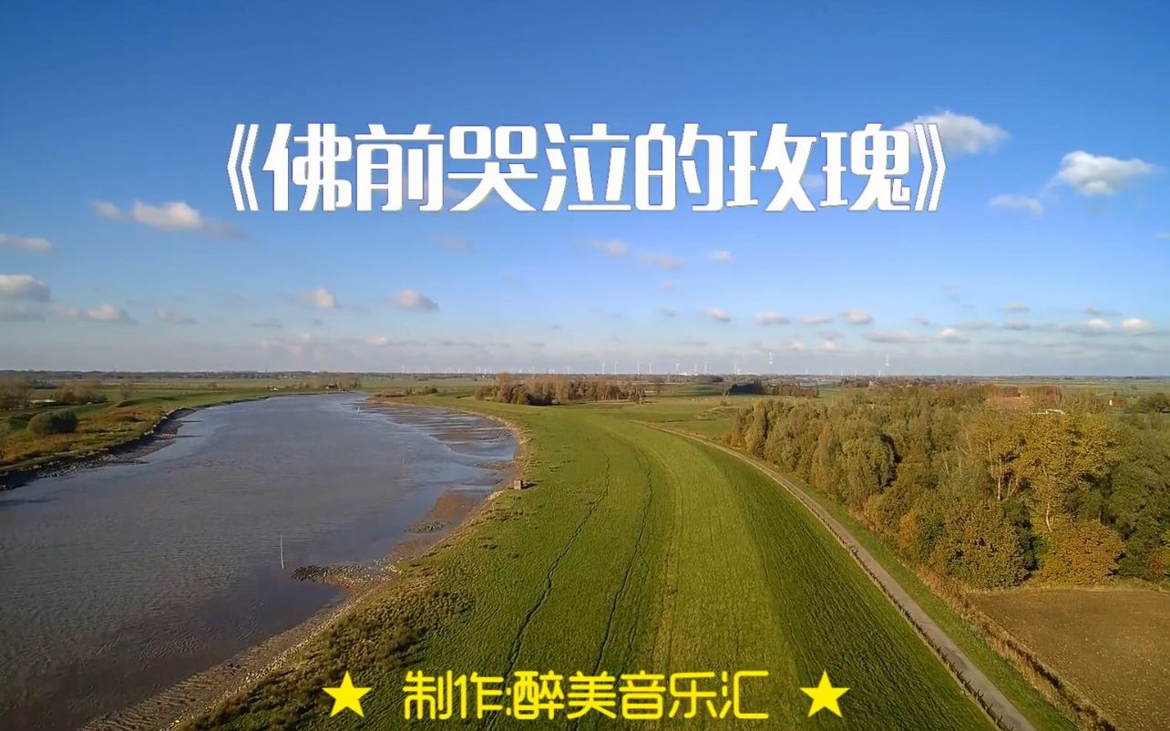 《佛前哭泣的玫瑰》那一夜 我忘却了所有 抛却了信仰 舍弃了轮回