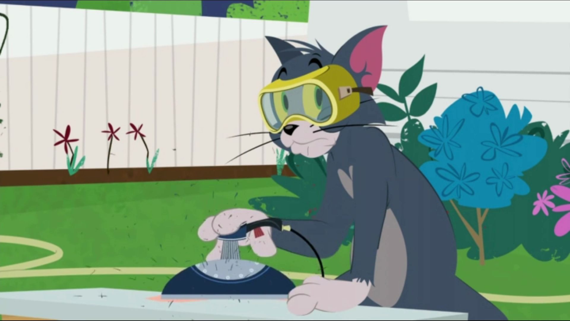 猫和老鼠目力汤姆恶臭汤姆