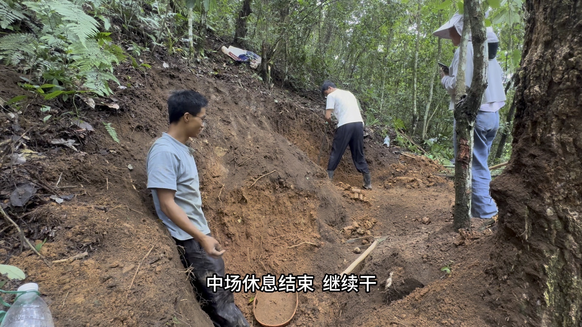 疯了,为了把省外挖乌灵参亏的油钱赚回来,竟使用特殊手段哔哩哔哩bilibili