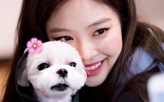 神仙女团养的神仙狗子月熊熊#金智妮jennie #月熊 #jisoo