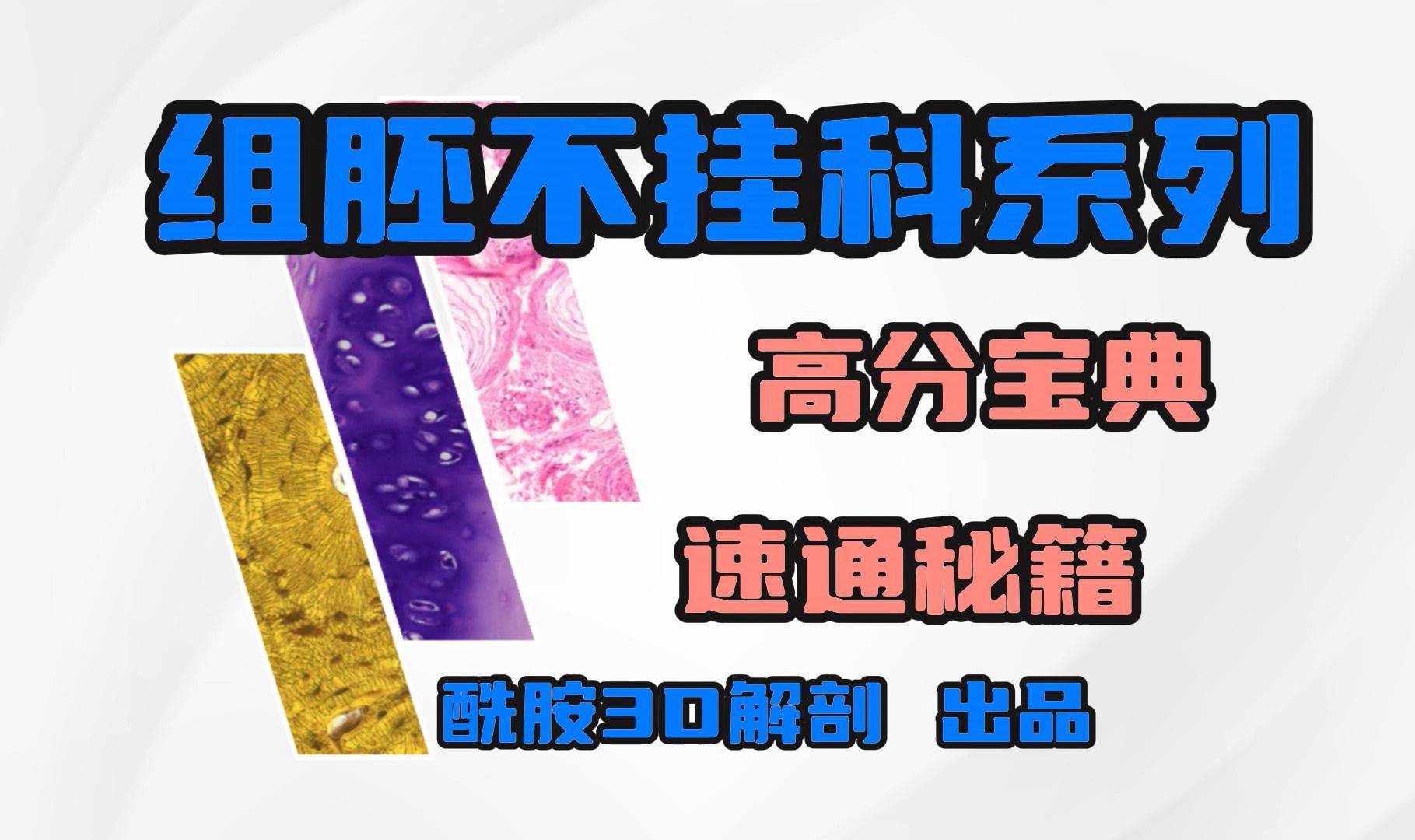 3.组胚不挂科系列丨速成系列丨第3期(软骨、骨、血液)哔哩哔哩bilibili