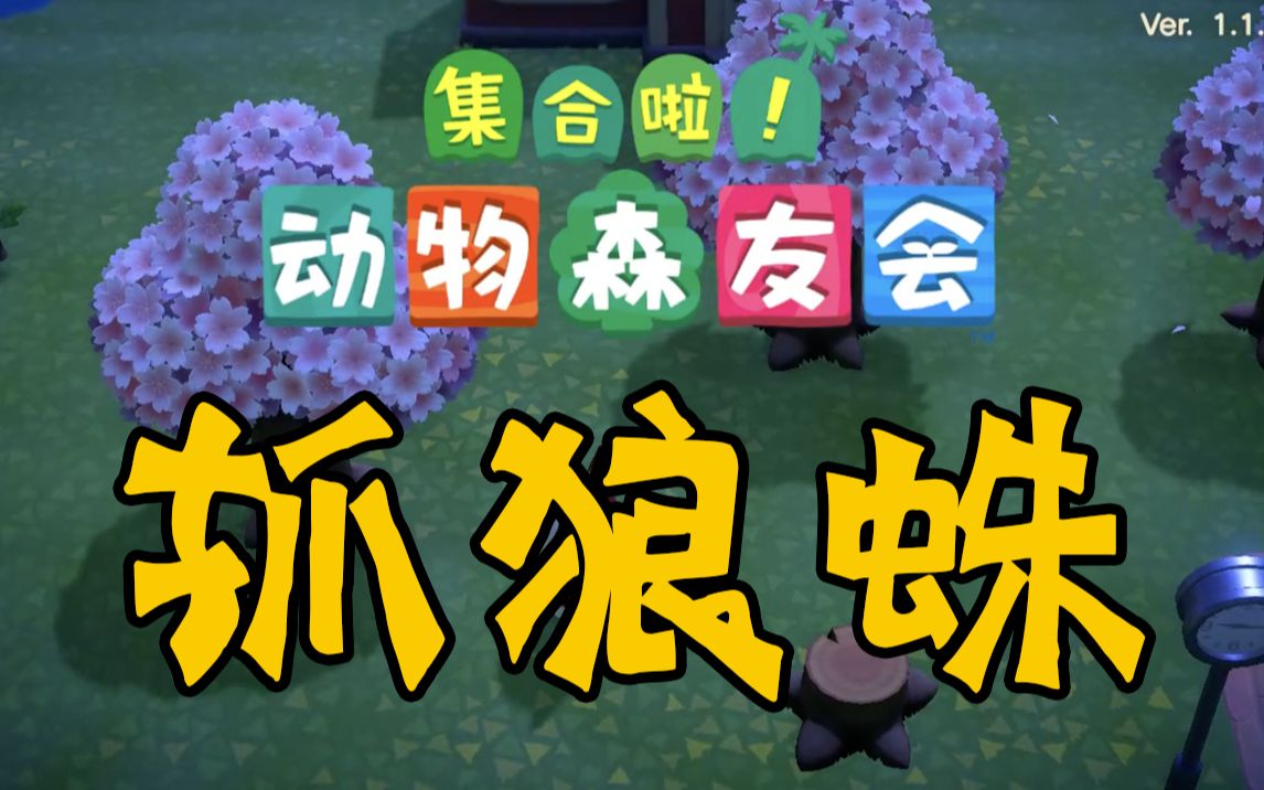 【动物森友会】从青铜到王者,动森不同段位抓狼蛛的方法_哔哩哔哩 (゜