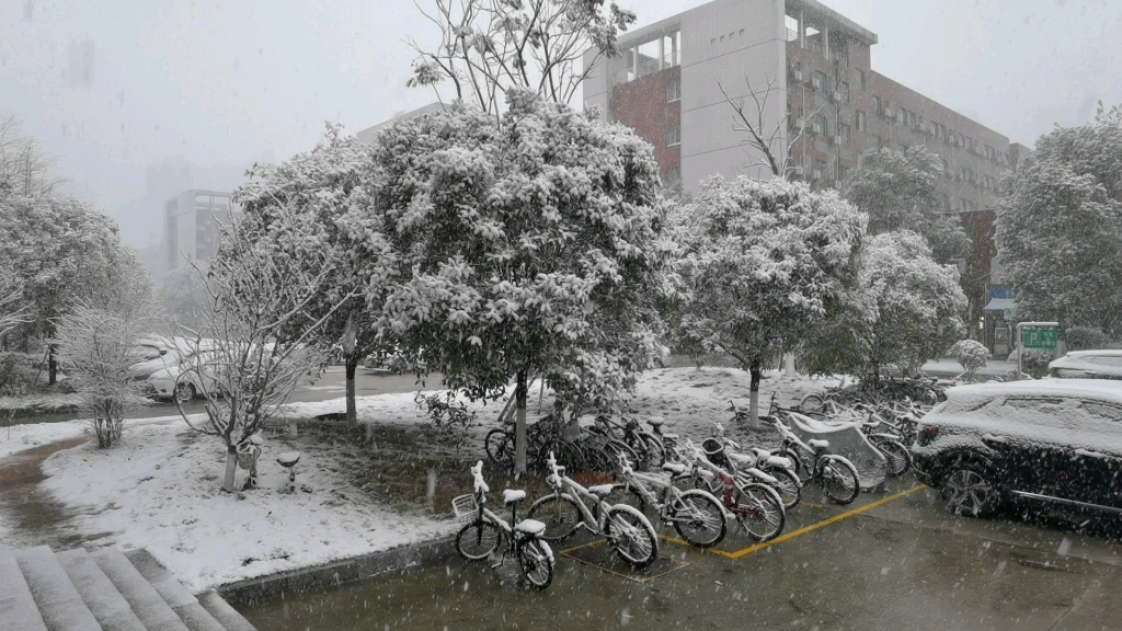 [图]雪花，飘落在校园之中......