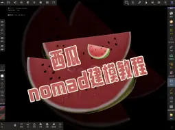 Download Video: nomad建模教程｜西瓜