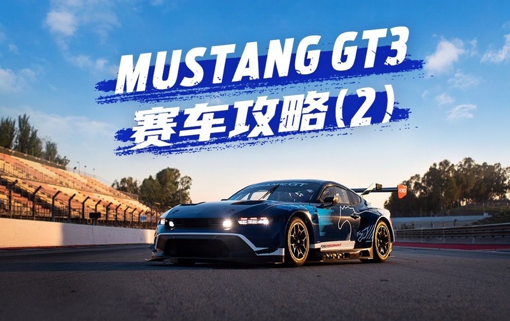 Mustang GT3 | 全球耐力赛之征 (2)哔哩哔哩bilibili