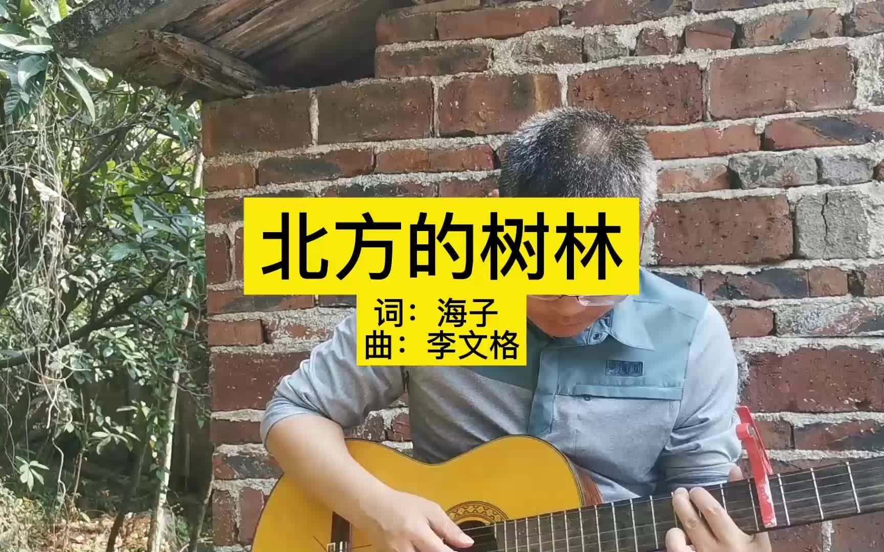 [图]吉他弹唱原创歌曲民谣海子的诗《北方的树林》