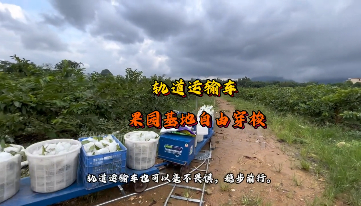 水果基地的大棚轨道运输车