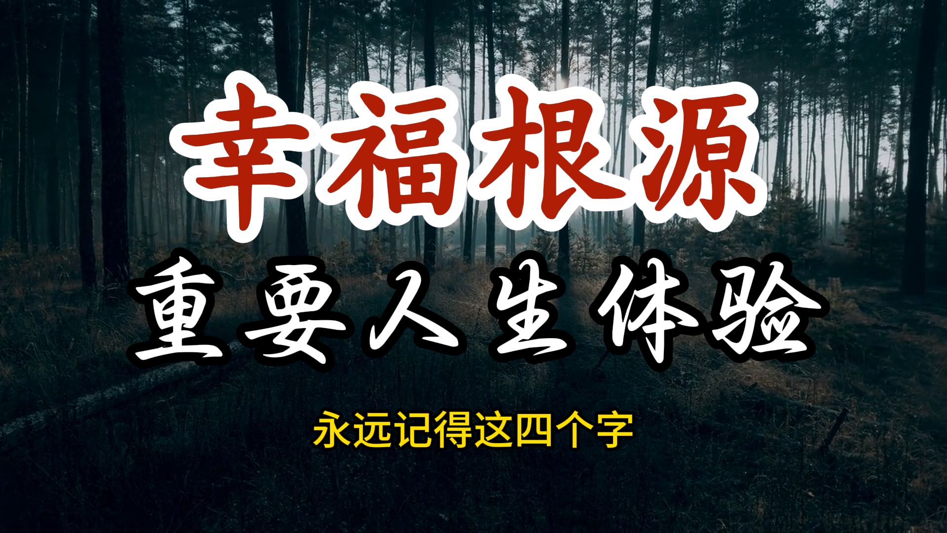 静悟人生幸福三个条件,一通百通,须知参差多态,乃是幸福本源哔哩哔哩bilibili