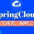 尚硅谷经典SpringCloud框架开发教程全套完整版从入门到精通(大牛讲授spring cloud)