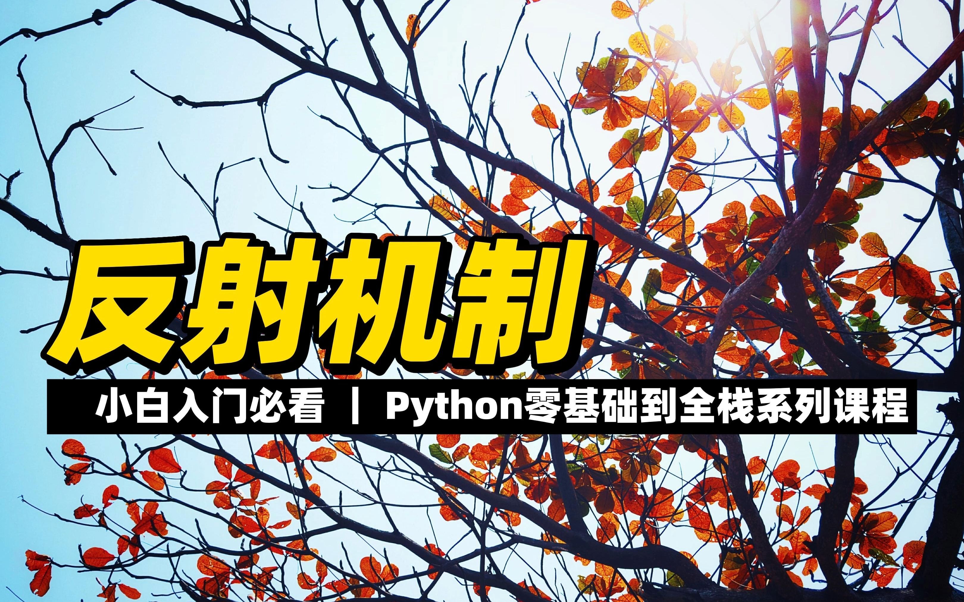 反射机制  《Python零基础到全栈系列》哔哩哔哩bilibili